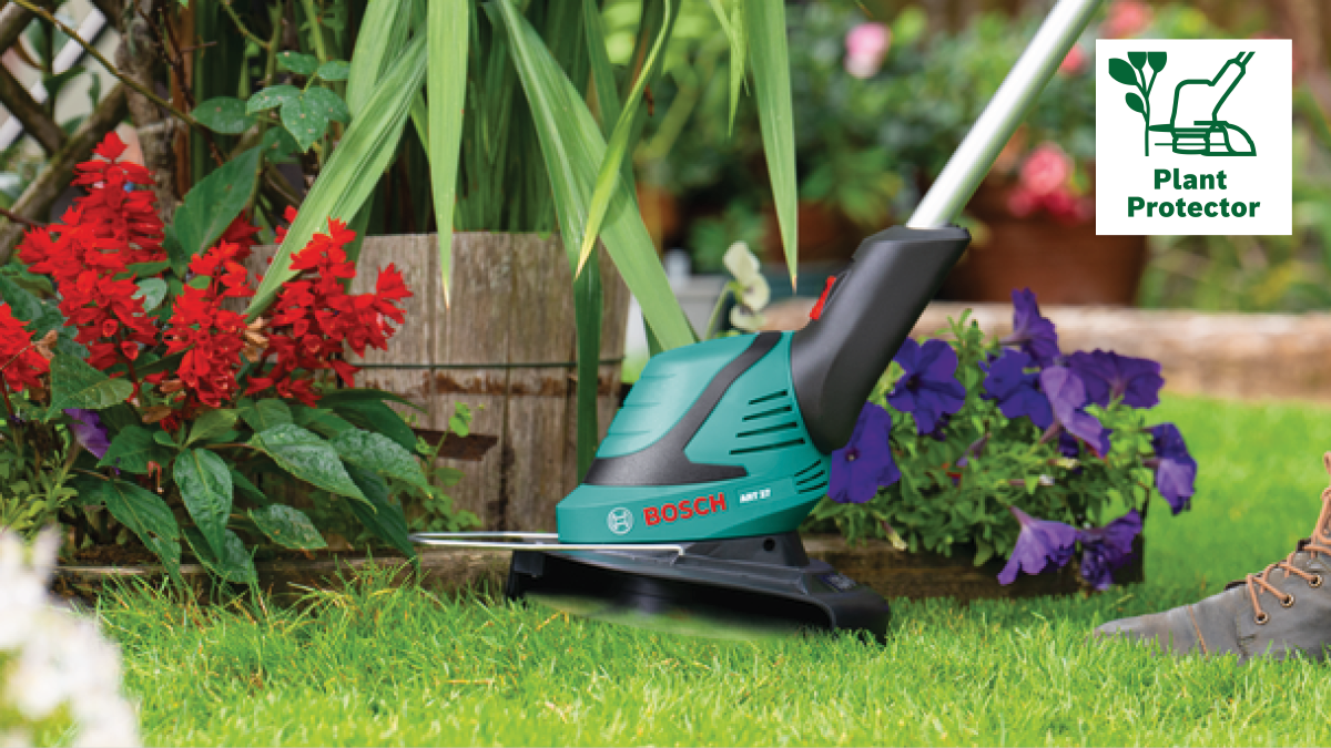 Nu tăia copacii sau lalelele