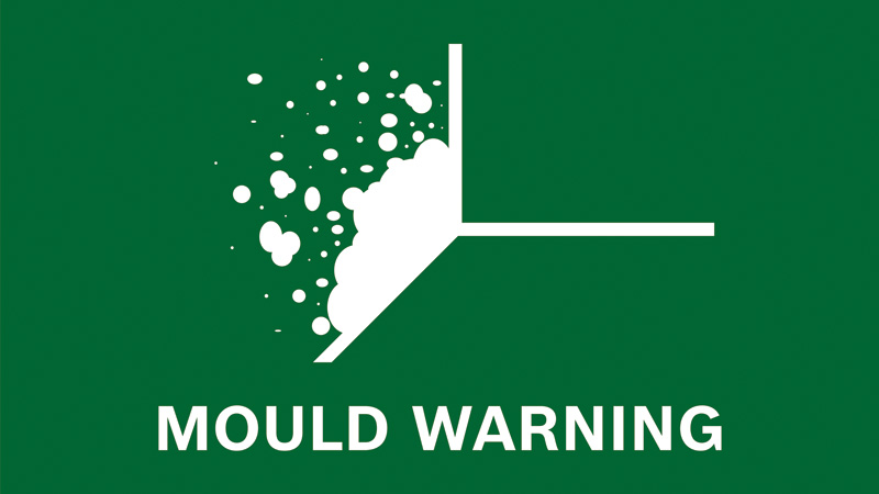 Detectează mucegaiul, pentru un mediu casnic mai sănătos